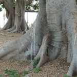 P1060341